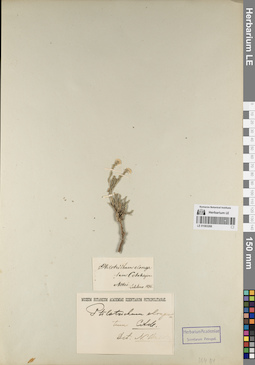 LE 01083268
