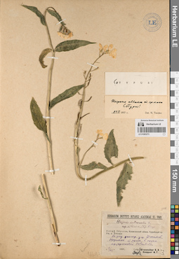 LE 01083273