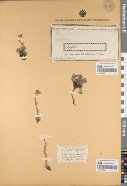 LE 01083257