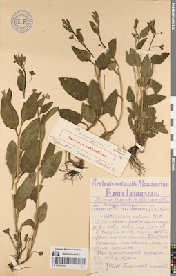 LE 01083260