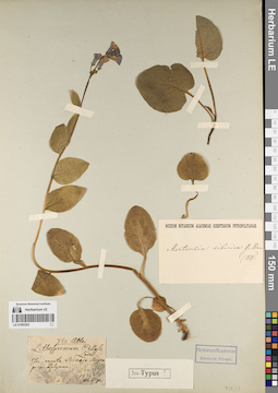 LE 01083263