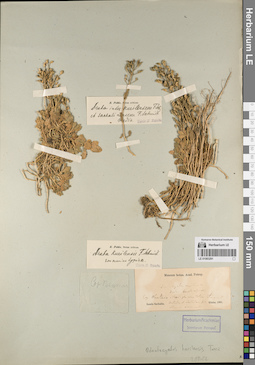 LE 01083291