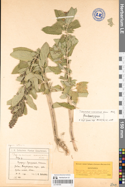 LE 01081080