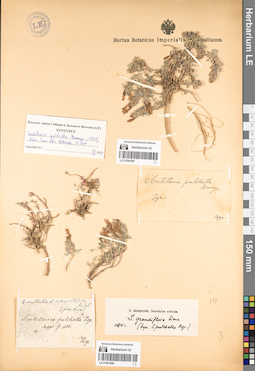 LE 01081097