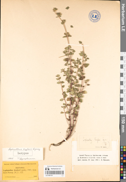 LE 01081101