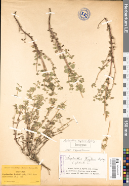 LE 01081102