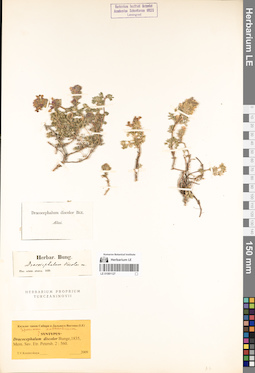LE 01081127