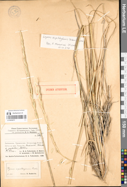 LE 00054075