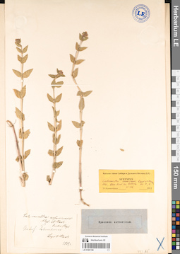 LE 01081186