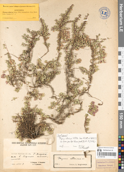 LE 01081188