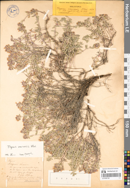 LE 01081192