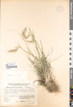 LE 00054094