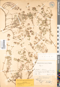 LE 01081193