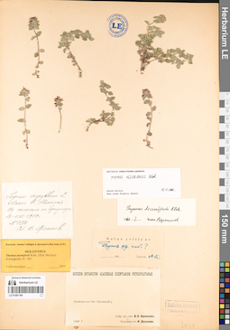 LE 01081194