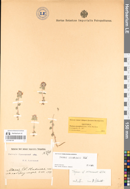 LE 01081195