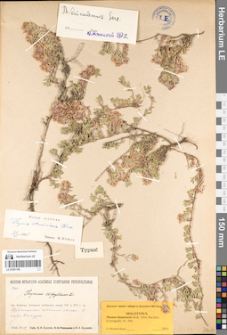 LE 01081196