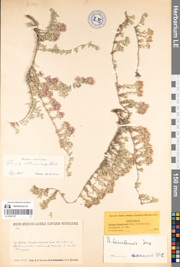 LE 01081197