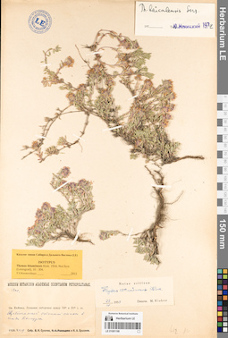 LE 01081198