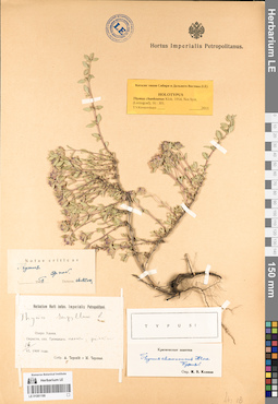 LE 01081199