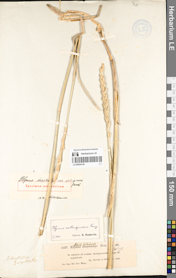 LE 00054104