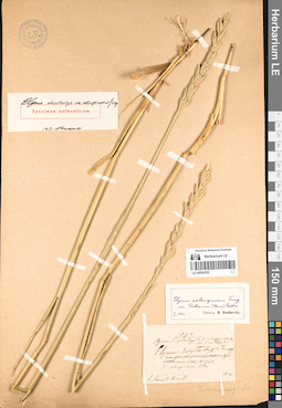 LE 00054105