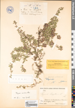 LE 01081202