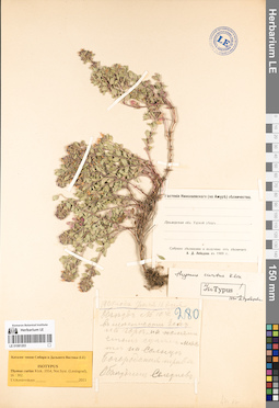 LE 01081203