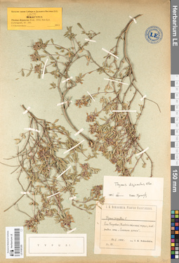 LE 01081205