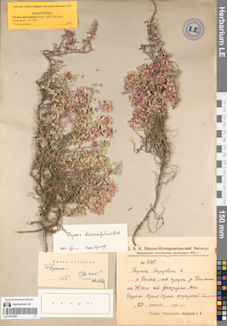 LE 01081208
