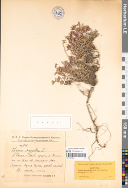 LE 01081210