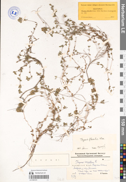 LE 01081215