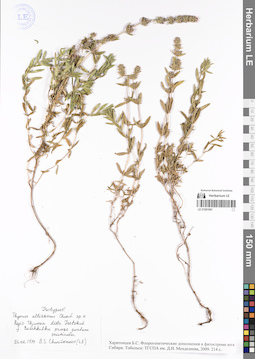 LE 01081991