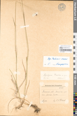 LE 01152490