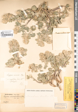 LE 01083323