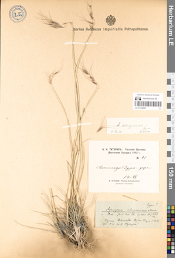 LE 01152498