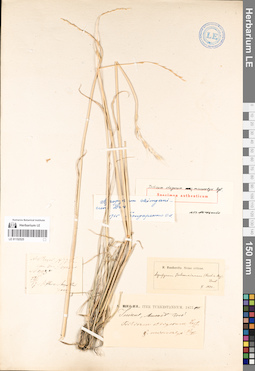 LE 01152525