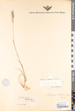 LE 01224048