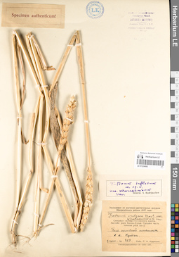 LE 01224065