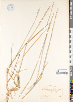 LE 01224074