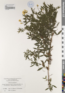 LE 01221865