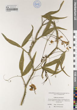 LE 01221875