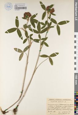 LE 01222072