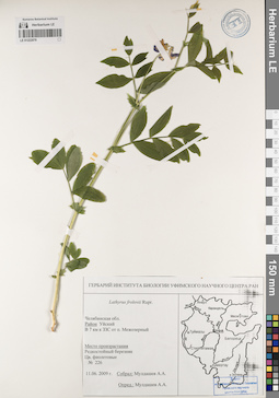 LE 01222079
