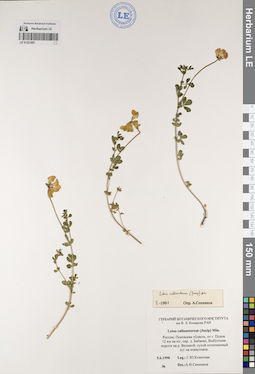 LE 01221897