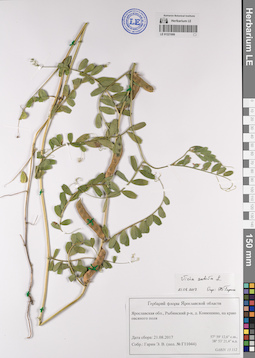 LE 01221909