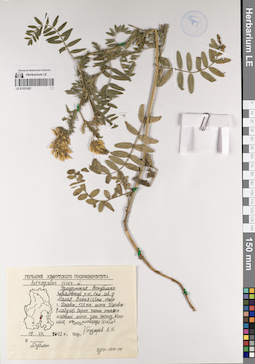 LE 01221922