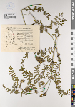 LE 01221923
