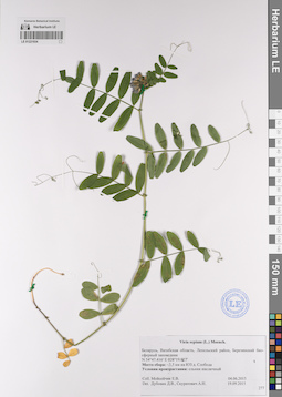 LE 01221934