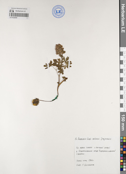 LE 01222030