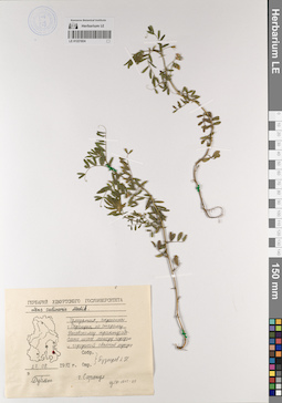 LE 01221824